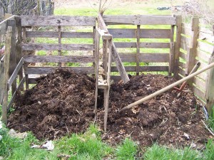 compost pile