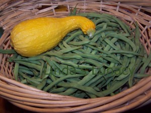 green beans yellow squash