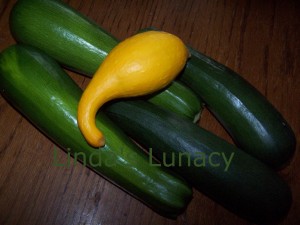 yellow squash zucchini