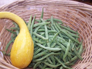 yellow squash green beans