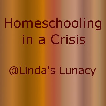 homeschooling in a crisis