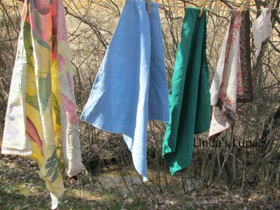 napkins clothesline