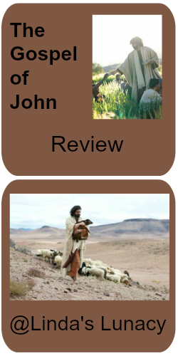 Gospel of John Review