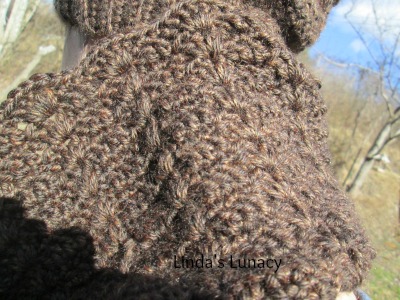 crocheted hat cowl
