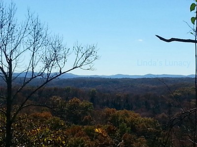 Cumberland FAlls Overlook View