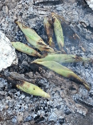 corn on cob over fire