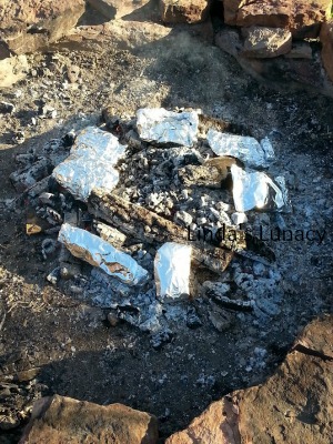 packet meals over fire