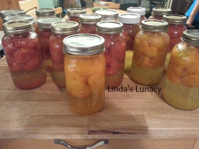 home canned tomatoes