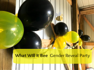 What Will It Bee Gender Reveal Party