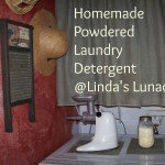 Homemade Powdered laundry Detergent