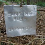 Recycled Garden Marker