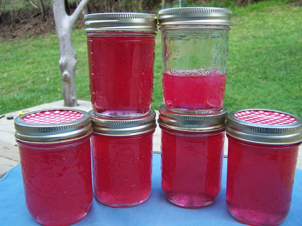 Red Bud Jelly