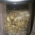 Homemade Italian Salad Dressing Mix