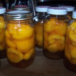 canning peaches