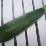 zucchini
