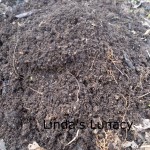 compost