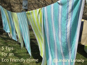 tips eco friendly home