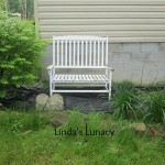 bible garden bench