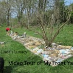 video garden tour