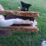 smore