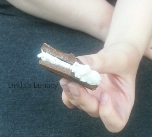 chocolate s'more
