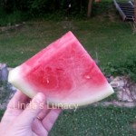 watermelon slice