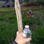 Going for a walk by the barn Getting Healthy with Linda