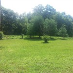 my view