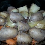 slow cooker venison