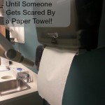 It's All Fun & Games Until Someone Gets Scared By a Paper Towel