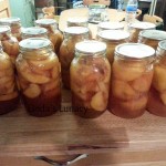 canning peaches