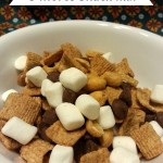 S'mores Snack Mix