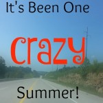 It's Been One Crazy Summer!