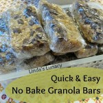 Quick & Easy No Bake Granola Bars