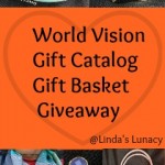 World Vision Gift Catalog Giveaway