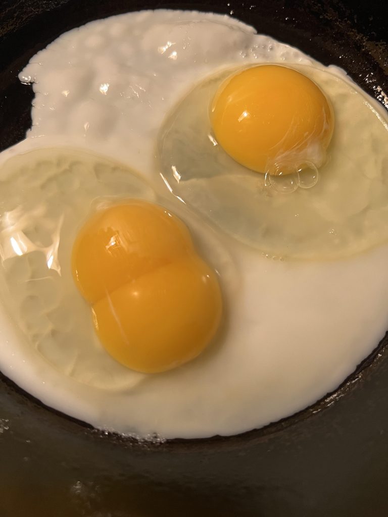 double yolk egg