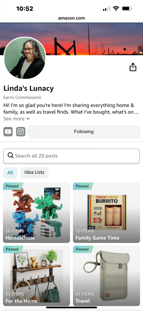 Linda's Lunacy Amazon Store